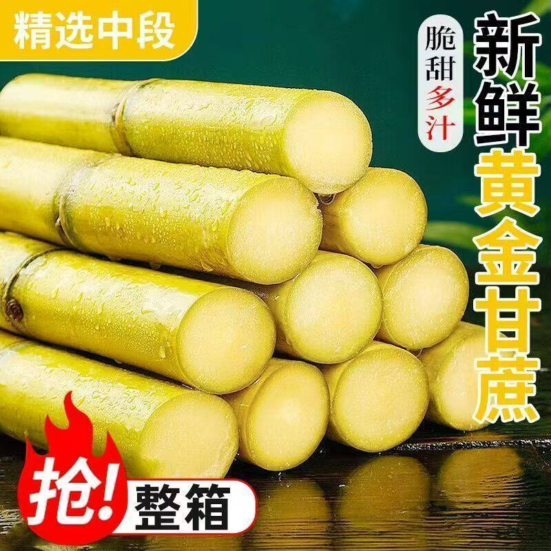 正宗云南黄金甘蔗新鲜水果脆甜中段黄皮脆甜多汁批发新鲜整箱包邮 - 淘宝联盟商品