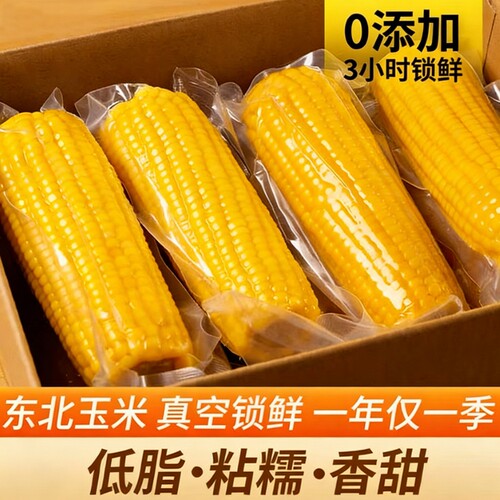 东北黄糯玉米香甜软糯东北粘黏苞米整箱装真空锁鲜加热即食非冷冻