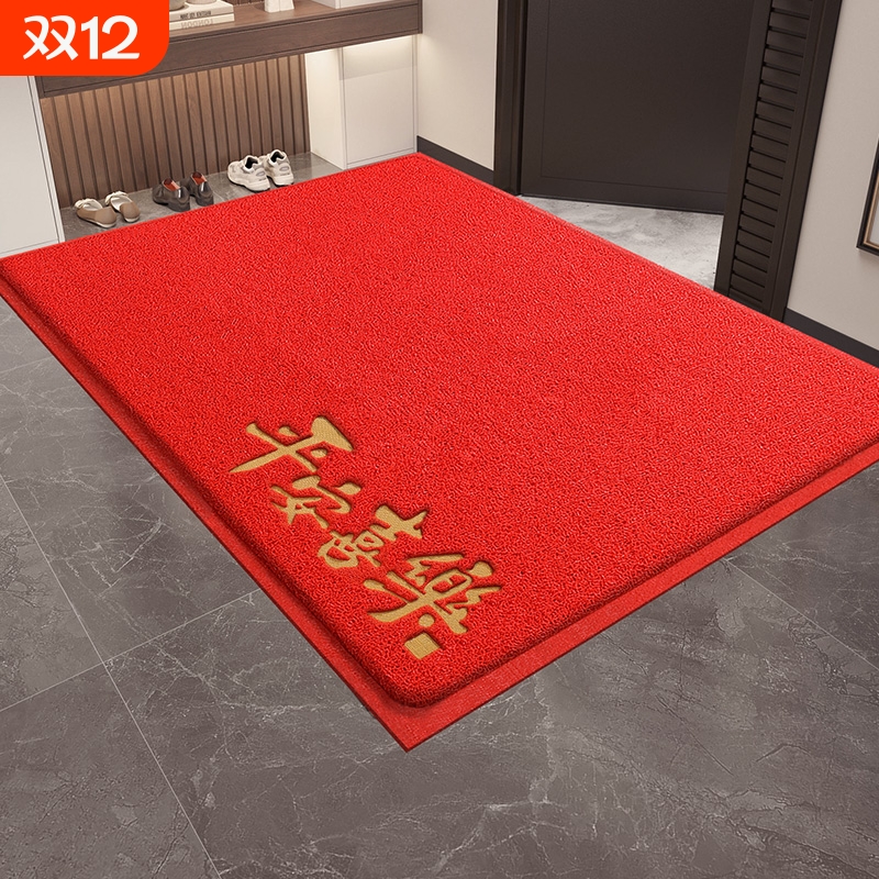 入户门丝圈除尘防滑地垫