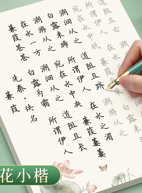 楷书字帖练字簪花小楷成人女生字体漂亮静心正楷硬笔书法初学者练字本初中生高中生大学生钢笔临摹本零基础入门套装古诗词描红本