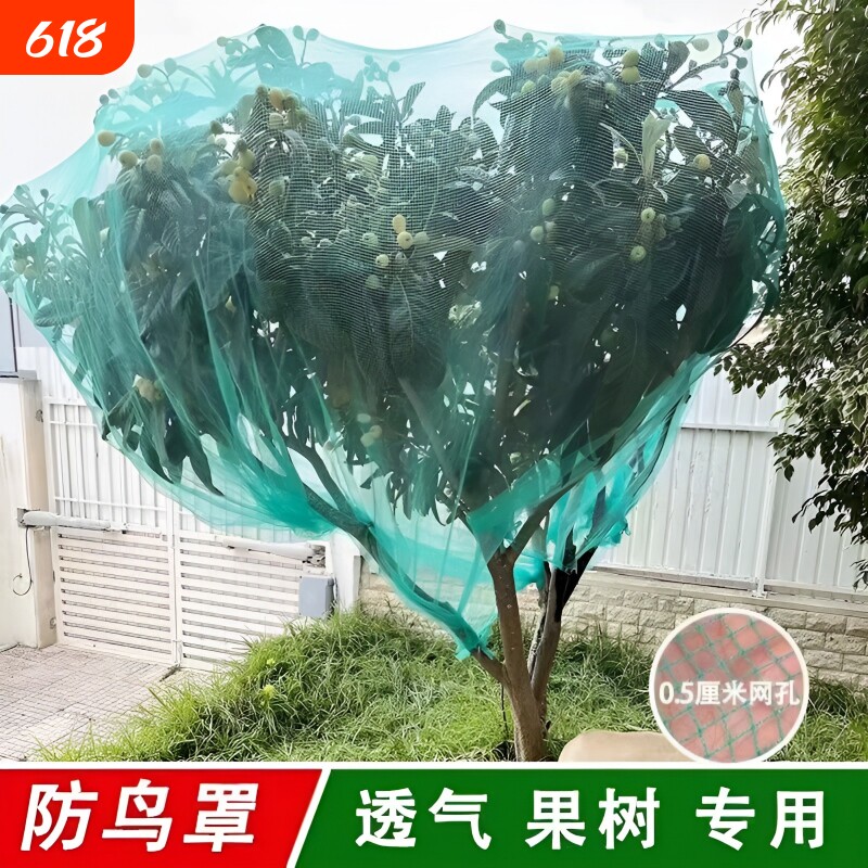 果树防鸟网罩果园防鸟网樱桃树嘉宝果树防鸟罩防冰雹网围网防护网