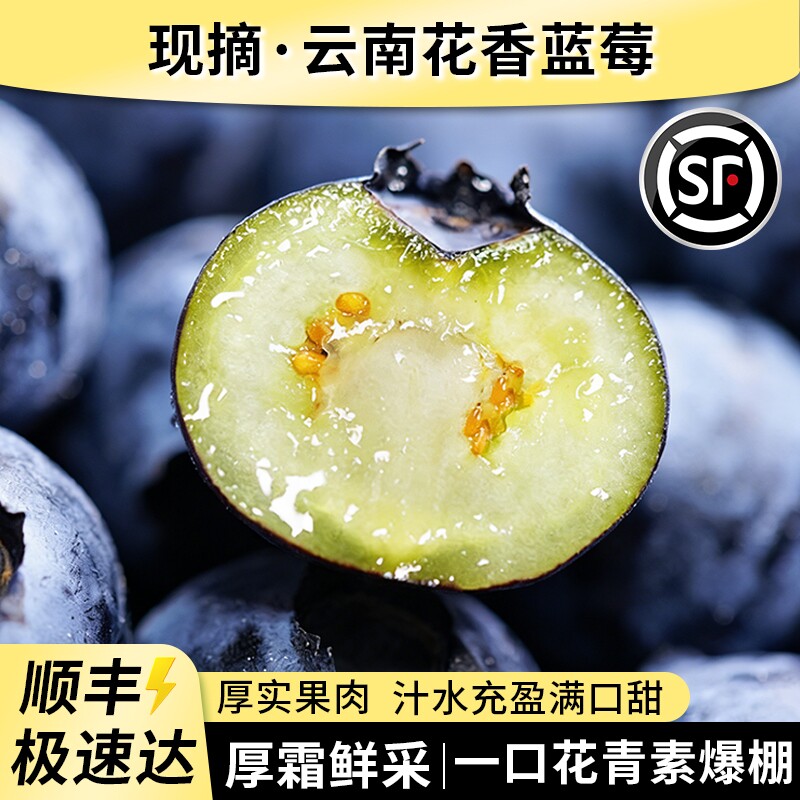 云南花香蓝莓新鲜果高山当季水果l25整箱特大果产地直发顺丰包邮
