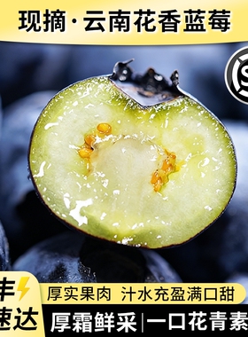 云南花香蓝莓新鲜果高山当季水果l25整箱特大果产地直发顺丰包邮