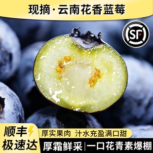 包邮 水果l25整箱特大果产地直发顺丰 云南花香蓝莓新鲜果高山当季
