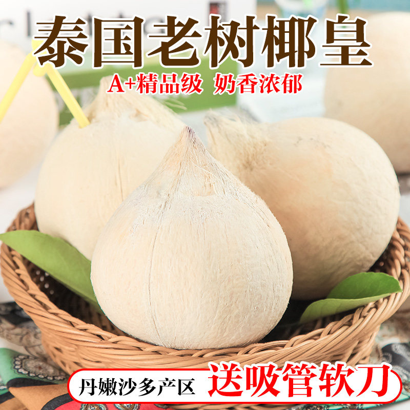 泰国进口小奶椰皇丹嫩沙多香水椰煲鸡汤老椰子孕妇新鲜水果包邮