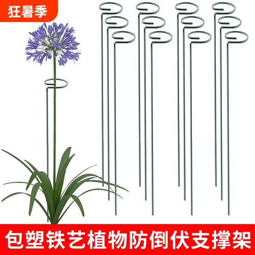 植物防倒伏铁艺支架花卉支撑杆