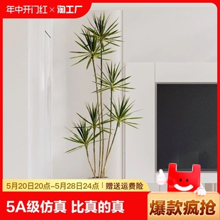 轻奢客厅仿真绿植龙血树龙舌兰假树植物盆栽室内装 饰落地盆景摆件