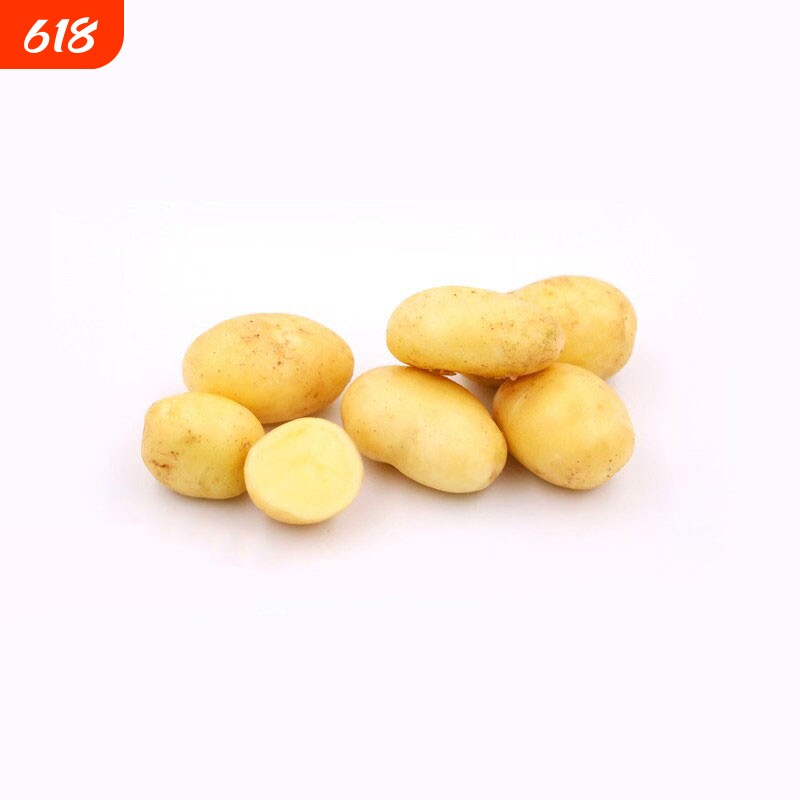农家今年新黄心土豆 新鲜现挖洋芋马铃薯宝宝辅食蔬菜