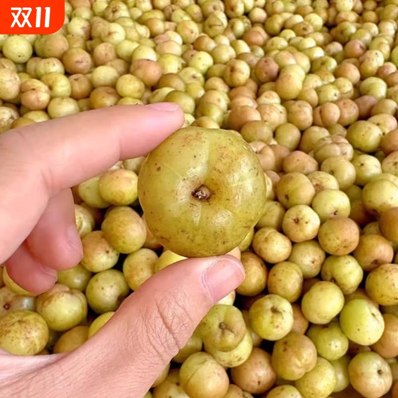 【爆款推荐优惠品】潮汕油柑