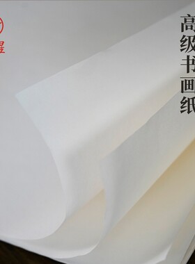 红星半生熟全生宣纸国画作品纸