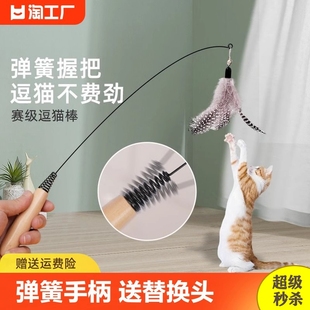 CFA赛级逗猫棒羽毛小猫自嗨解闷神器铃铛替换头耐咬猫咪玩具磨牙