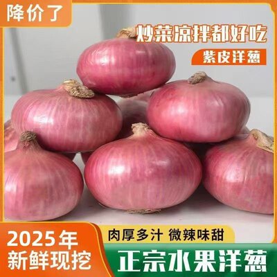 生吃专用水果扁甜洋葱