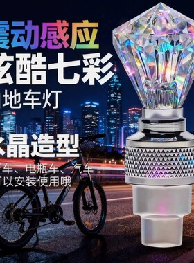 自行车摩托车山地车电动车轮毂风火轮轮胎灯气气门嘴灯夜骑发光