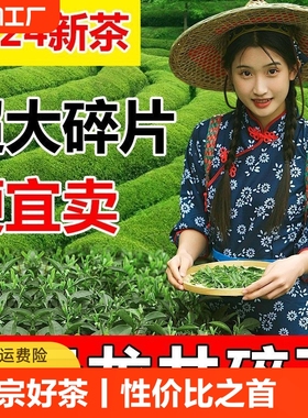 2024新茶正宗千元赛级龙井茶碎片超大春季头采明前茶片豆香型批发