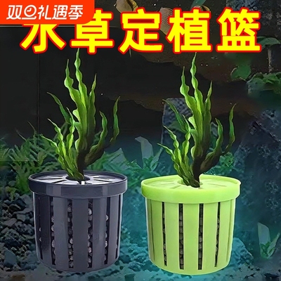 水草定植器鱼缸水培植物篮定植篮壁挂式种植杯鱼缸造景摆件定植篮