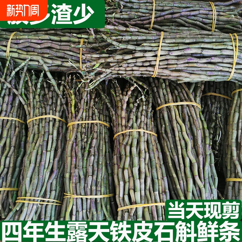 新鲜铁皮石斛鲜条500克四年露天铁皮石斛干条石斛花石斛枫斗