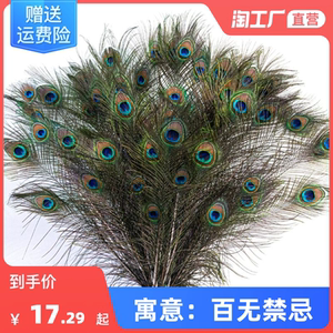 天然真孔雀羽毛客厅摆件落地摆件插花瓶工艺品插花装饰