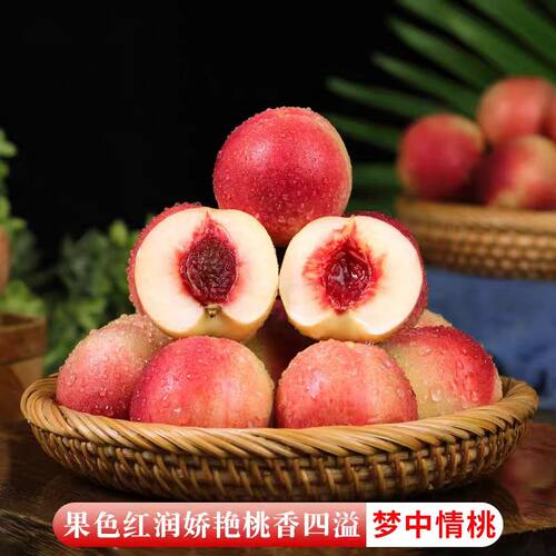 顺丰包邮2026新鲜采摘正宗珍珠枣油桃山西特产