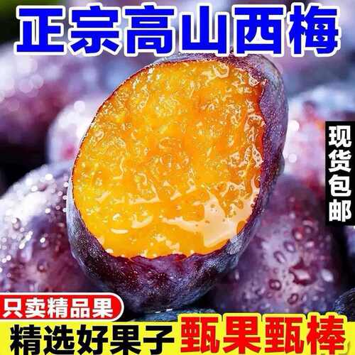 西梅鲜果5斤新鲜水果当季整箱李子法兰西应季蓝蜜大西梅时令水果