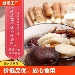 广东靓汤滋养煲汤材料五指毛桃莲子炖排骨汤包炖汤食疗补品煲汤料