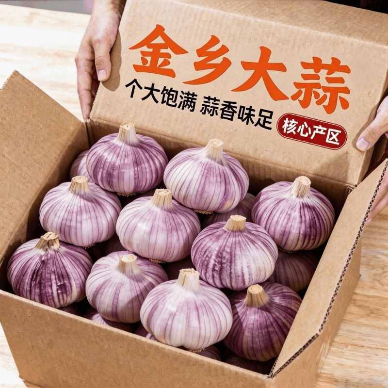 【十足干蒜】金乡大蒜干蒜精选特大果山东紫白皮批发新鲜大蒜头