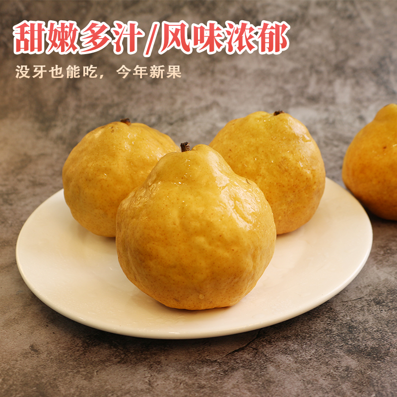 中华丑梨软梨软糯多汁爆甜当季新鲜梨子水果南果