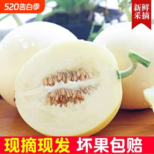 【头茬小籽甜瓜】陕西阎良甜瓜坏果包赔带箱5斤香甜多汁坏果包赔