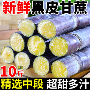 正宗广西黑皮甘蔗新鲜中段批发脆甜水果当季脆甜整箱广西爆甜多汁