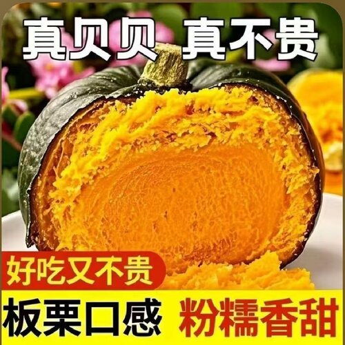 正宗真贝贝南瓜板栗味老南瓜婴儿辅食老南瓜粉糯香甜新鲜宝宝辅食