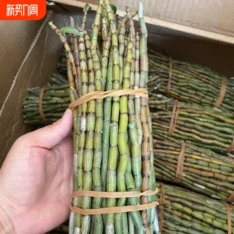 云南新鲜铁皮石斛鲜条食用滋补仿野生种植2-7年生现剪现发