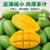 单果500g+广西青皮金煌芒净重4.5斤