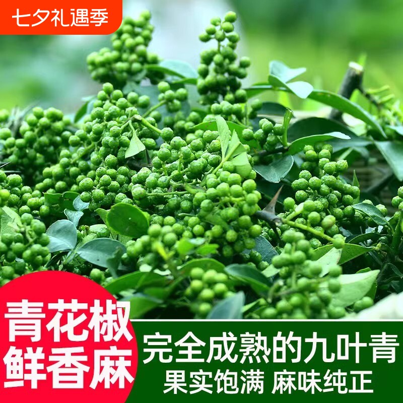 九叶青新鲜花椒重庆江津特产350g保鲜麻椒粒现摘鲜花椒生青藤真空