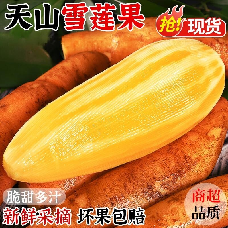 雪莲果新鲜水果黄心大果10当季整箱云南天山应季一红心特包邮级斤