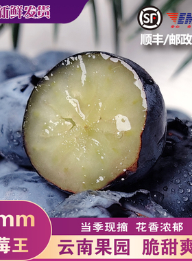 [空运发货]云南高山花香蓝莓新鲜采摘海拔1800米多规格抱抱桶网红
