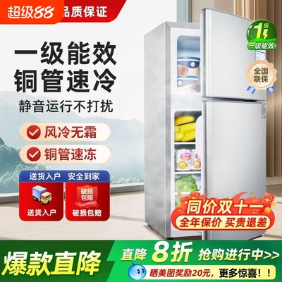 Hiacr海冰箱小型家用双门电冰箱冷冻冷藏一级迷你节能直冷出租房