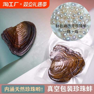 天然淡水迷你珍珠蚌体验蚌一蚌一珠爱迪生河蚌自己开蚌取珍珠diy