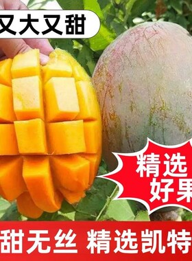 果园直发四川攀枝花凯特芒果9斤新鲜水果孕妇当季大青芒孕妇水果
