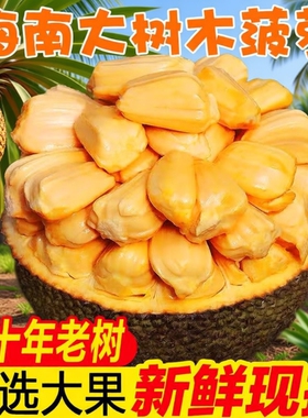 海南三亚黄肉菠萝蜜新鲜水果包邮当季现摘波罗一整个整箱当季包邮