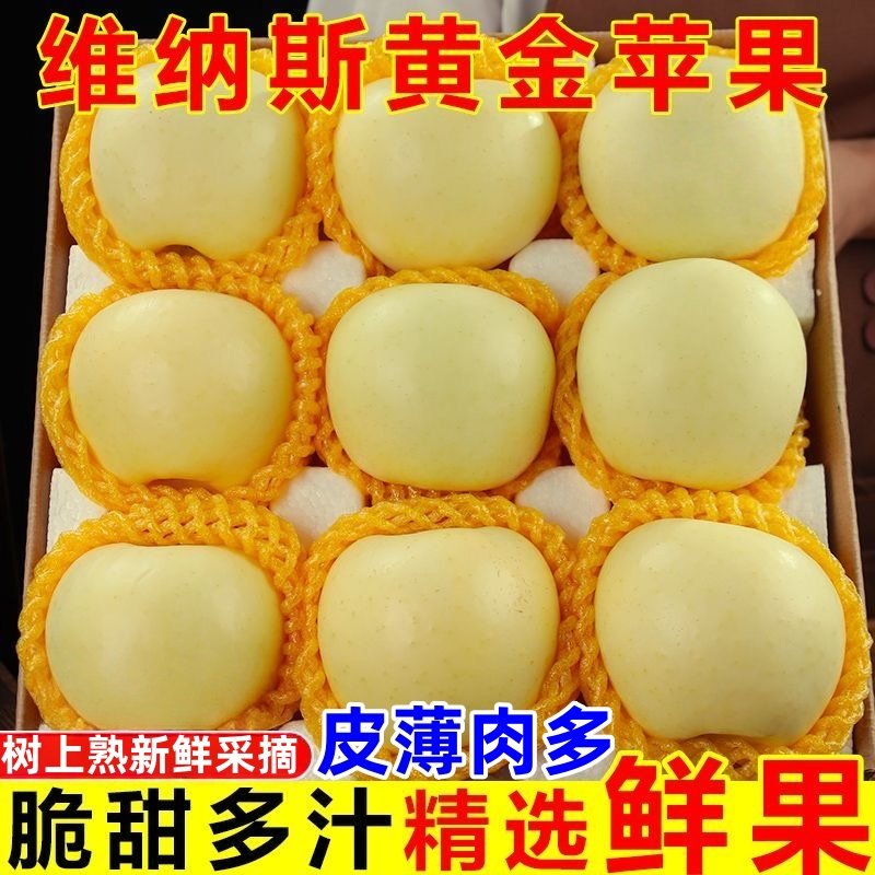 黄金维纳斯苹果山东新鲜水果大当季整箱时令孕妇正宗奶油烟台脆甜,水产肉类/新鲜蔬果/熟食,苹果,淘宝优惠券,粉丝福利购,淘宝优惠卷