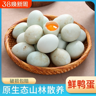 农家新鲜散养鸭蛋鲜鸭蛋生鸭蛋70g大鸭蛋湖区散养鸭蛋营养美味