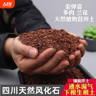 风化土颗粒风化石土壤盆景下山桩生根专用铺面通用型小叶多肉种植