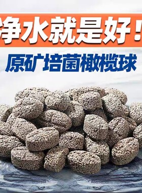 鱼缸过滤材料细菌屋滤材火山石陶瓷环用过滤器橄榄球生化净水生态
