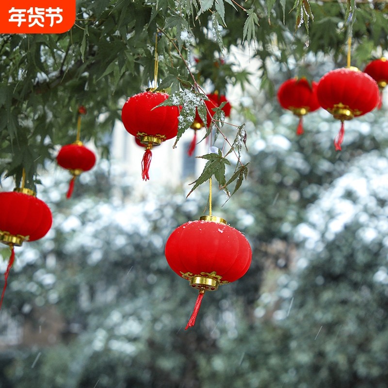 元旦新年小红灯笼挂饰2026年贺年盆栽绿植装饰院子挂树上氛围布置,节庆用品/礼品,灯笼,淘宝优惠券,粉丝福利购,淘宝优惠卷