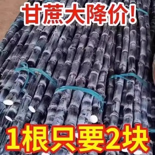 脆皮一级甘蔗特产脆甜榨汁 包邮 广西黑皮甘蔗9斤时令当季 新鲜水果