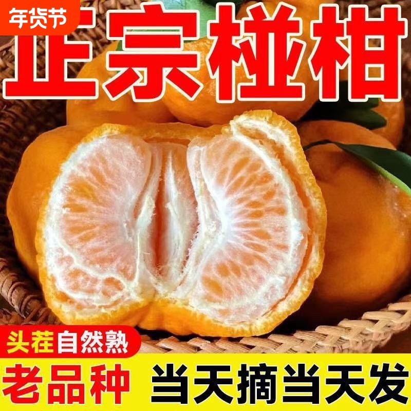 湘西碰柑应季水果新鲜碰柑多汁产地直发柑橘橘子湖南湘西碰柑整箱,水产肉类/新鲜蔬果/熟食,桔子,淘宝优惠券,粉丝福利购,淘宝优惠卷