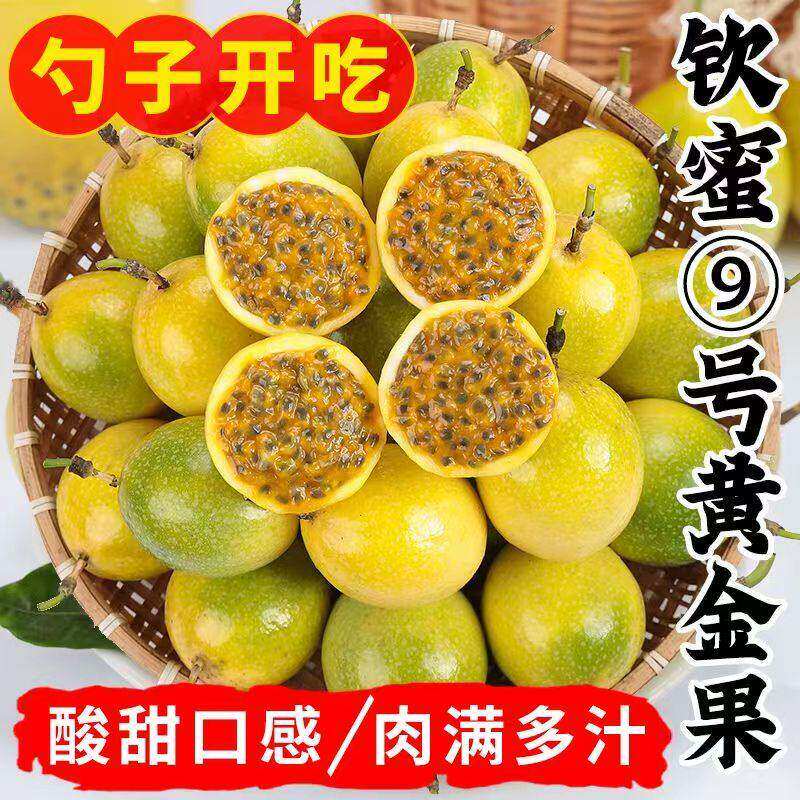 正宗广西钦蜜9号黄金百香果新鲜水果包邮当季1/2/3/5斤大果黄金果