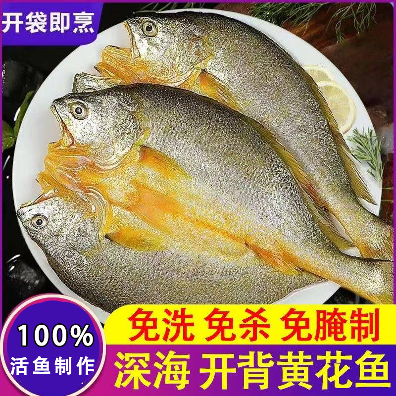 宁德大黄鱼调味黄鱼鲞鲜美黄花鱼新鲜活鱼制作海鲜水产批发年货