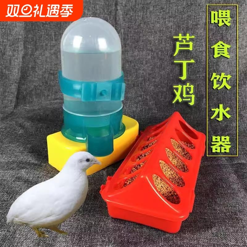 芦丁鸡自动喂水壶喂食器鸽子饮水器导水器鹦鹉喂食器鸟食盒食槽