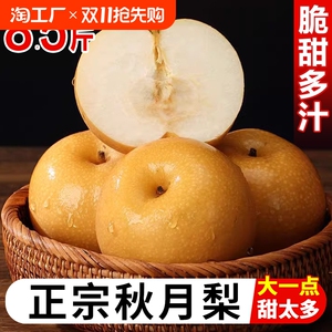 山东正宗莱阳羊脂秋月梨当季新鲜梨子冰糖梨子应季新鲜水果整箱