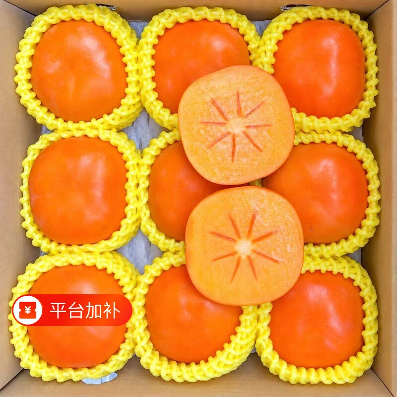 今年新果正宗脆甜柿子巧克力柿应季新鲜水果无核甜柿批发包邮阳丰